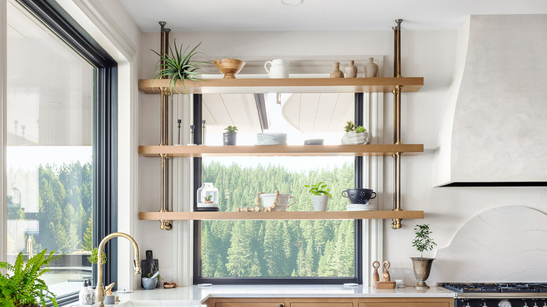 window with shelves