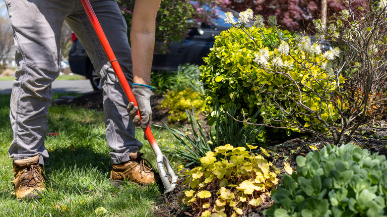 Person edging along a garden bed