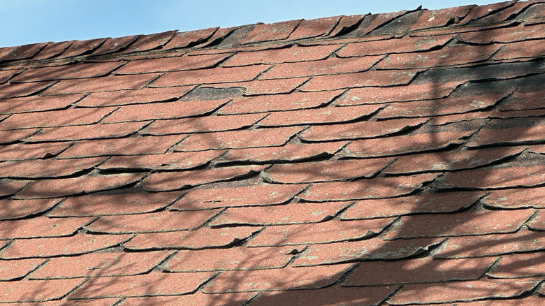 Closeup of damaged asphalt shingle roof