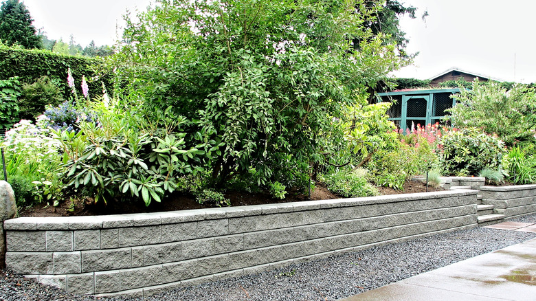 concrete block retaining wall with shrubs