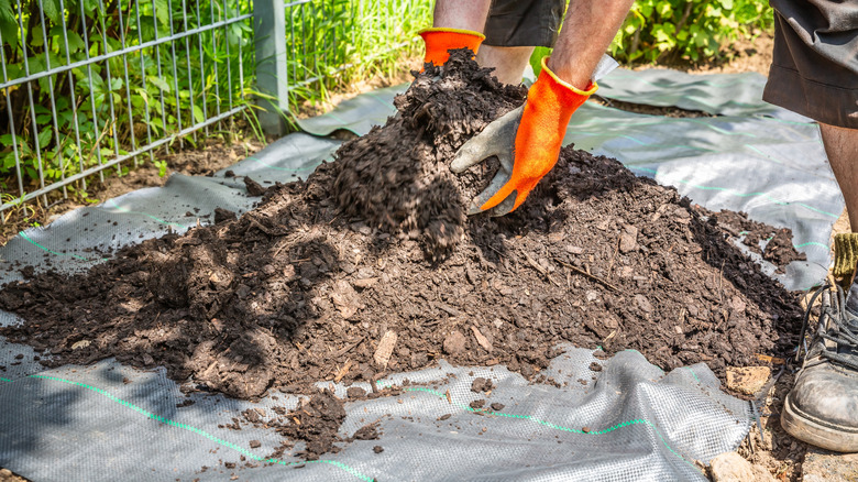 A person adding mulch over landscape fabric in the garden.