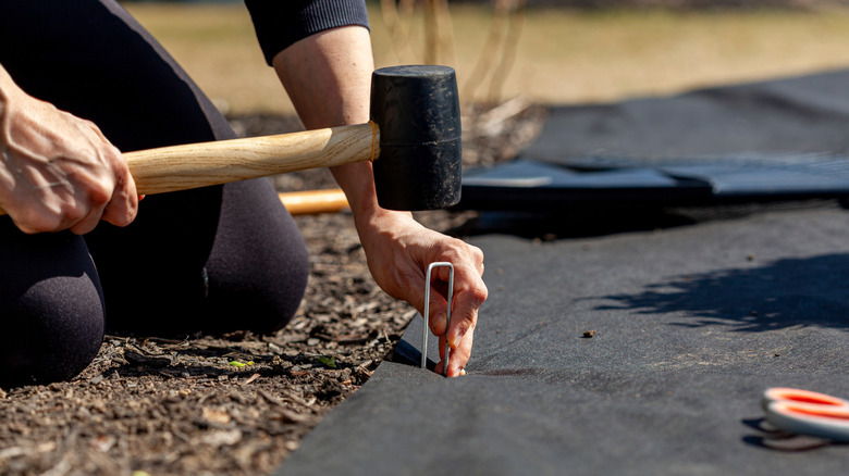 A person staking down new landscaping fabric in garden