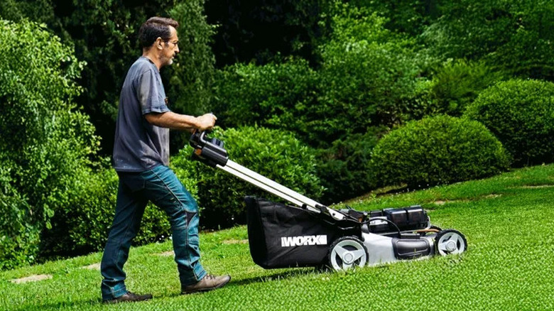 The compact but powerful 80V Worx self-propelled lawn mower