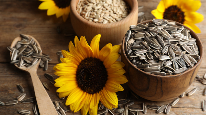 Sunflower seeds on table