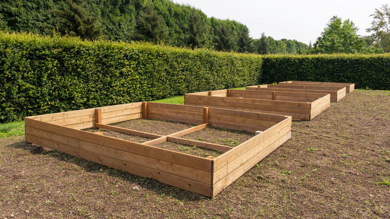Large garden beds made from cedar wood ready for filling and planting