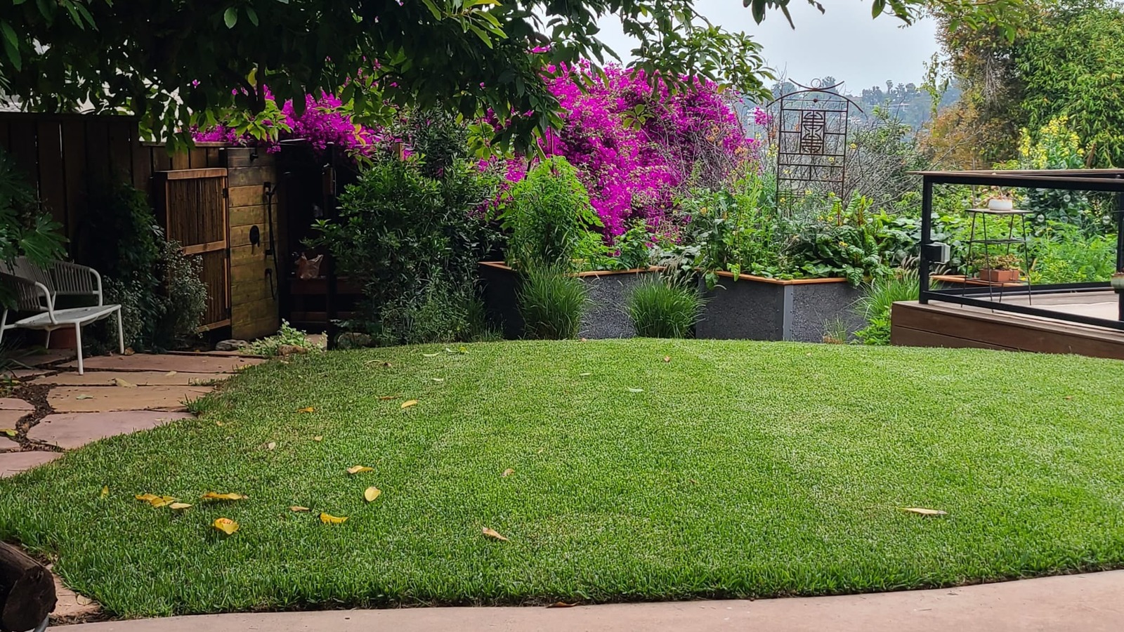 What Is The Best Weed Killer For Flower Beds? We Asked Our Landscape Expert