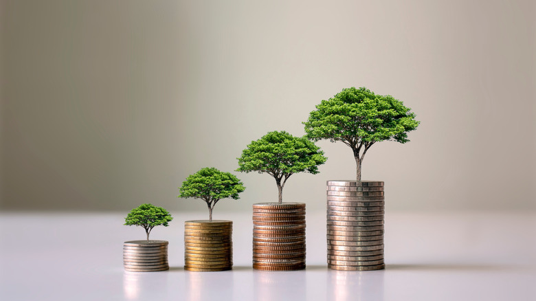 tree growing on coins concept