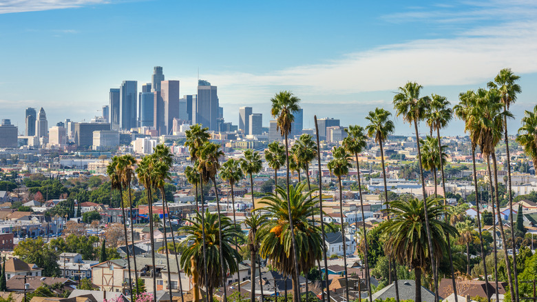 LA skyline