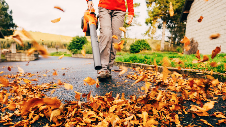 A person using a leaf blower