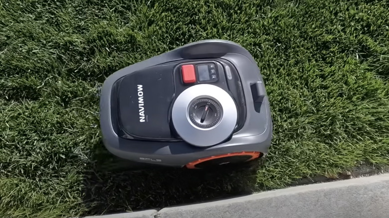 The Navimow i110N cutting grass after one year of use