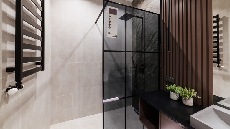 glass bathroom partition darker paned 