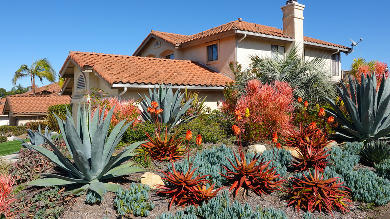 Vibrant xeriscaped suburban home 