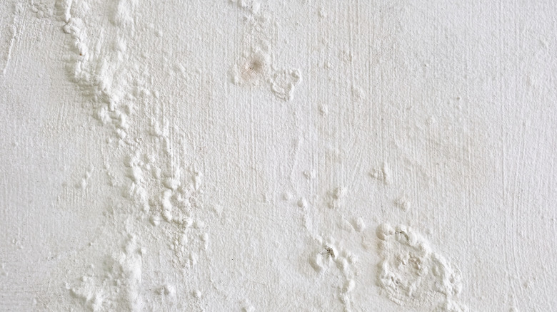 bubbling paint on a wall