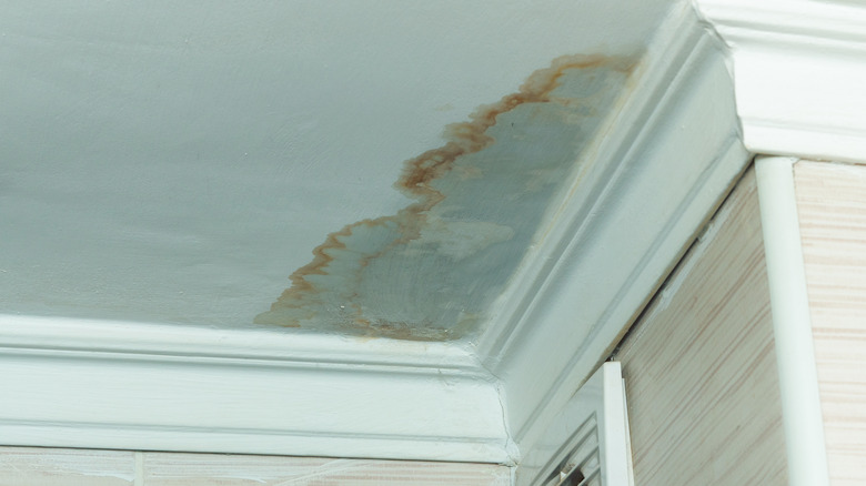 green brown ceiling stain