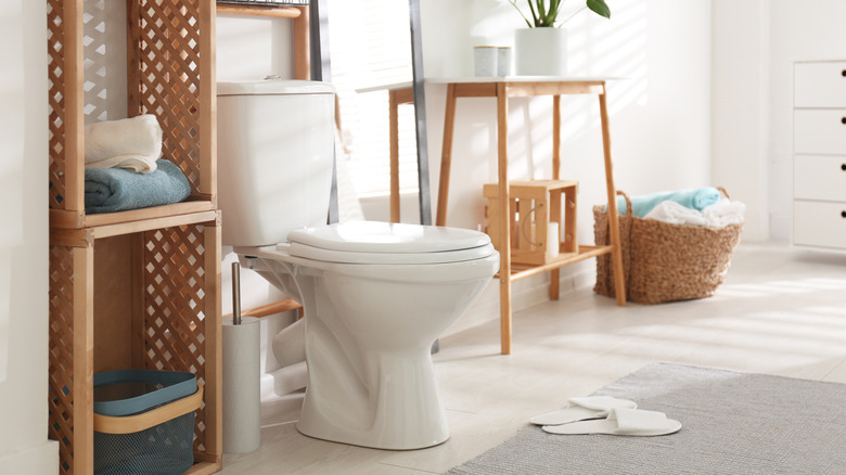 stylish bathroom with toilet