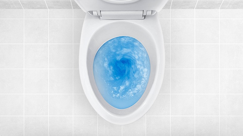 blue toilet cleaner in toilet
