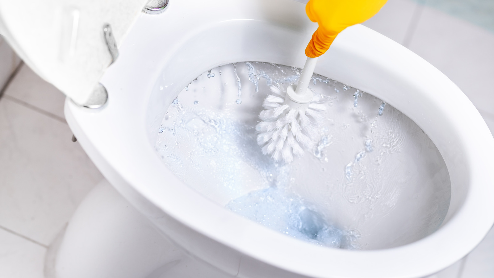 What It Could Mean If Your Toilet Seat Is Turning Blue