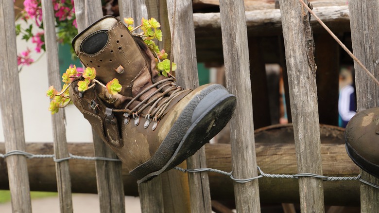 Boot hanging on fence