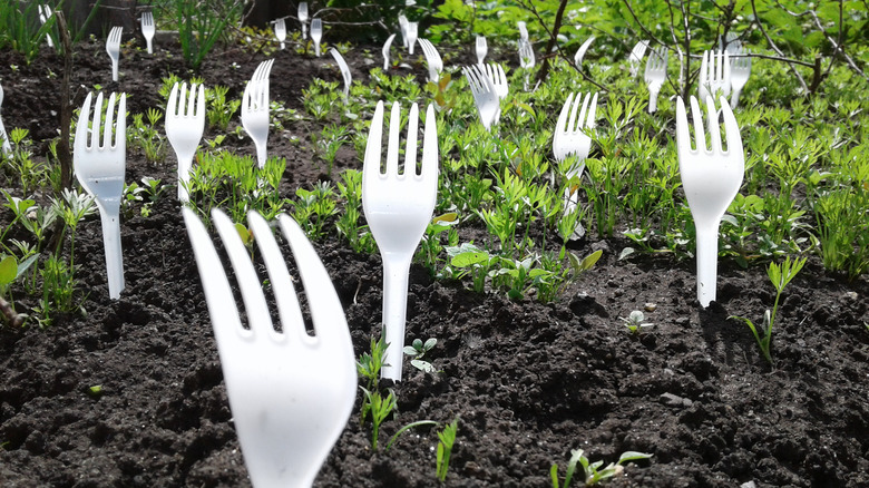 plastic forks in yard