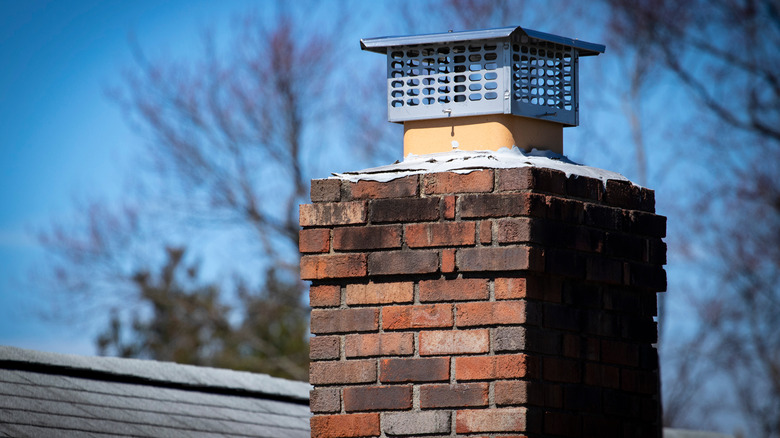 Chimney cap on home