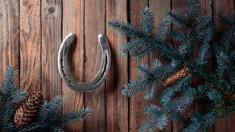 Horseshoe hanging on door