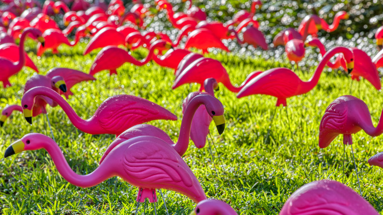 plastic flamingos in yard 