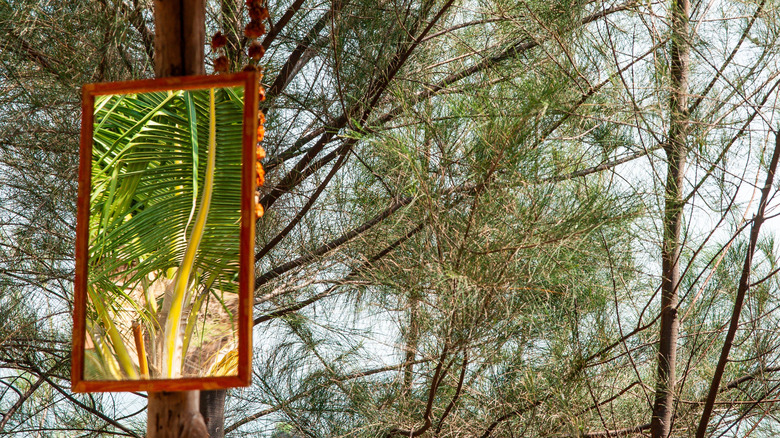rectangular mirror hanging in garden