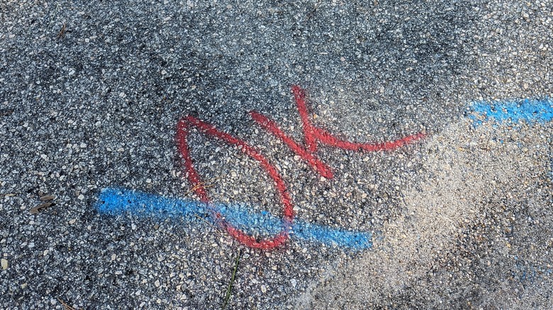 red and blue markings on pavement