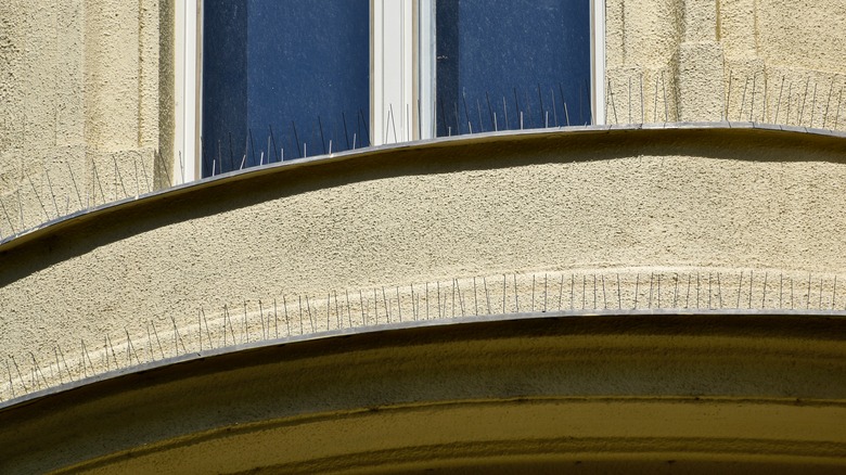 Spikes on a building's roof