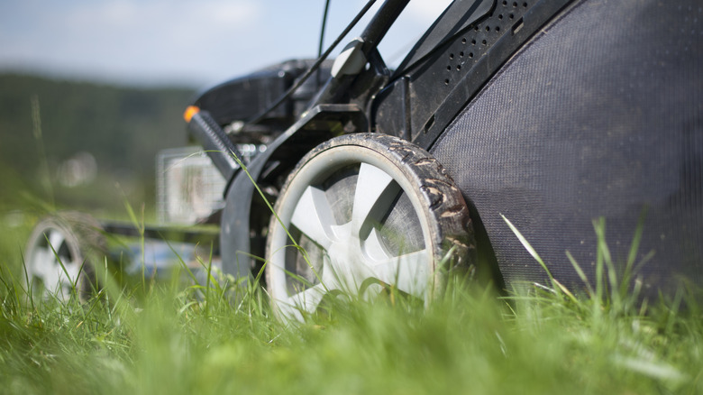 Wheels of a black self-propelled lawn mower on grass