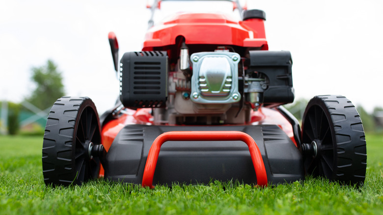 Close-up of a red and black lawn mower on green lawn