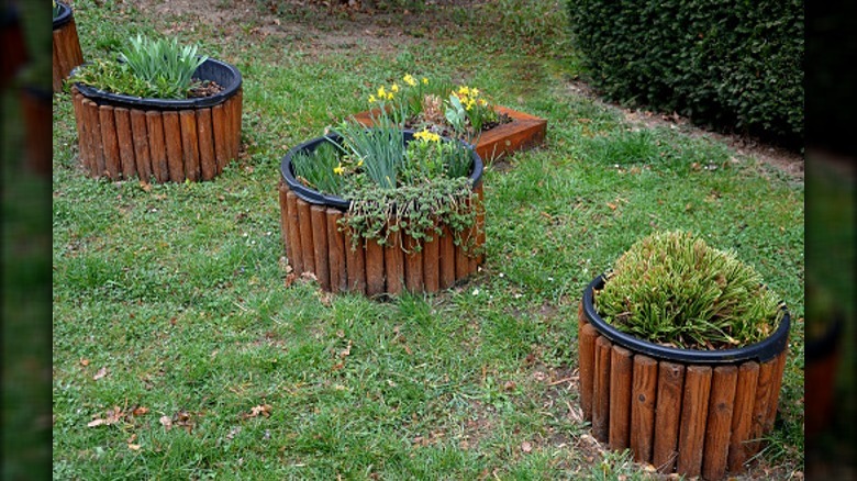 three garden planters