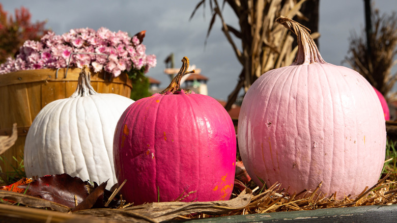 pink pumpkins