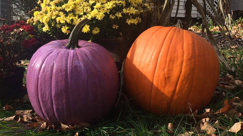 Purple jack-o'-lantern