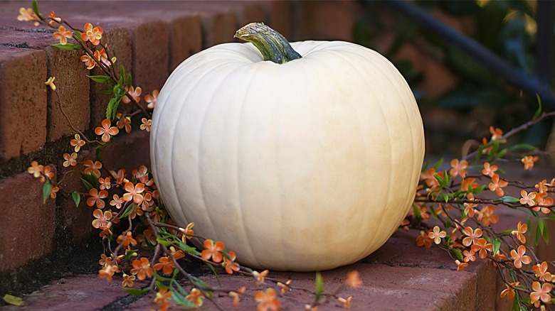 White pumpkin with carnations