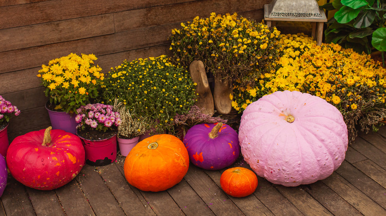 Purple, pink, red, and orange pumpkins on a porch