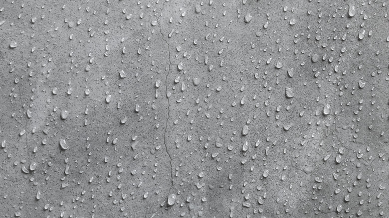 Wet gray wall