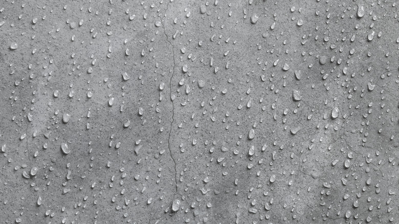 Wet gray wall