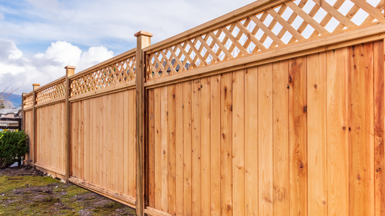 tall wooden fence