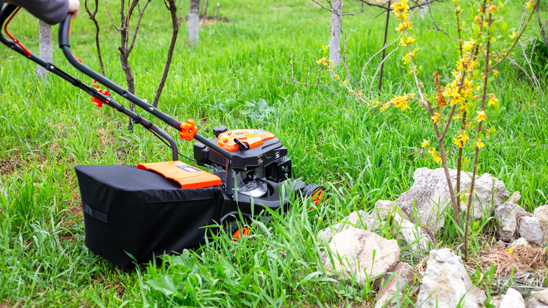 Orange and black mower running through overgrown grass in a lawn
