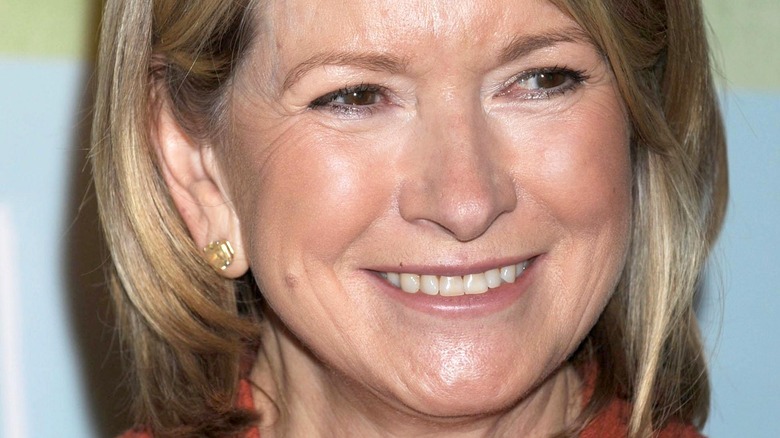 close up of Martha Stewart 