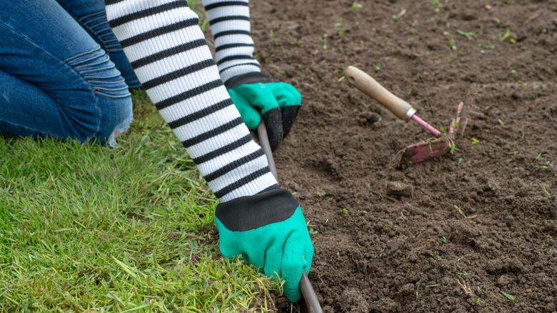 Person cutting an edge in a new garden bed