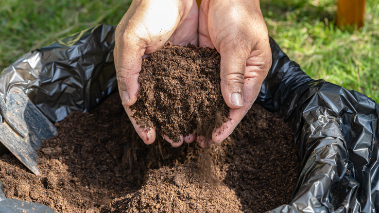 Gardener using good quality top soil in the garden