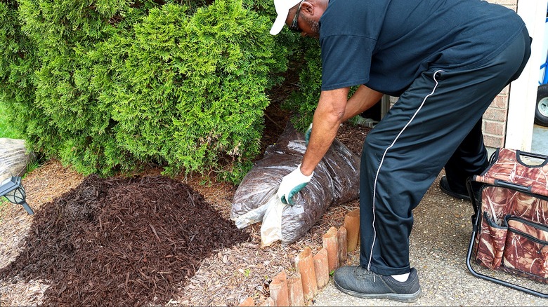 A man is applying mulch around a raised bed in a garden
