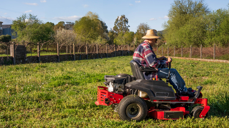 Someone mowing their lawn on a tractor-style mower