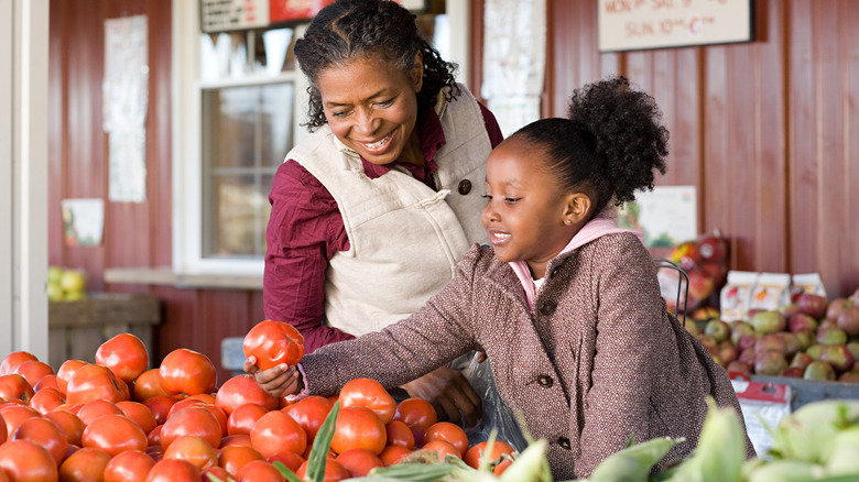 Two people picking out tomatoes