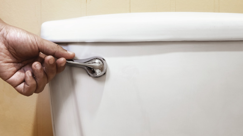 Person's hand flushing toilet