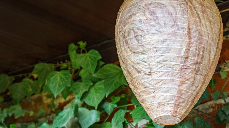 Fake wasp nest