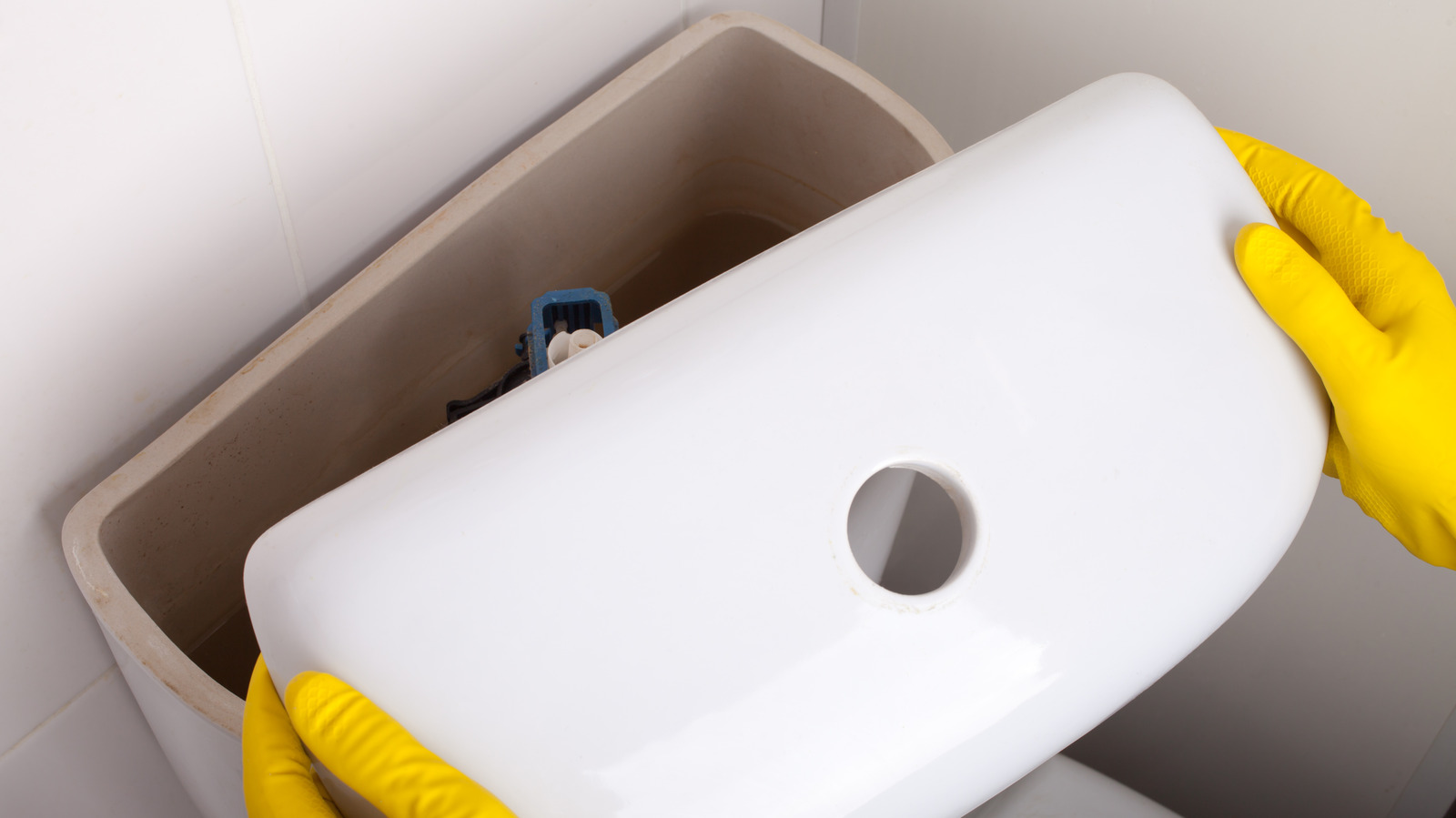 What Should You Do About A Leaking Toilet Tank