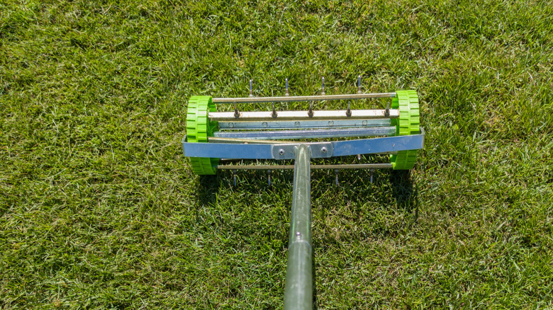 A manual aerator being used to aerate a lawn